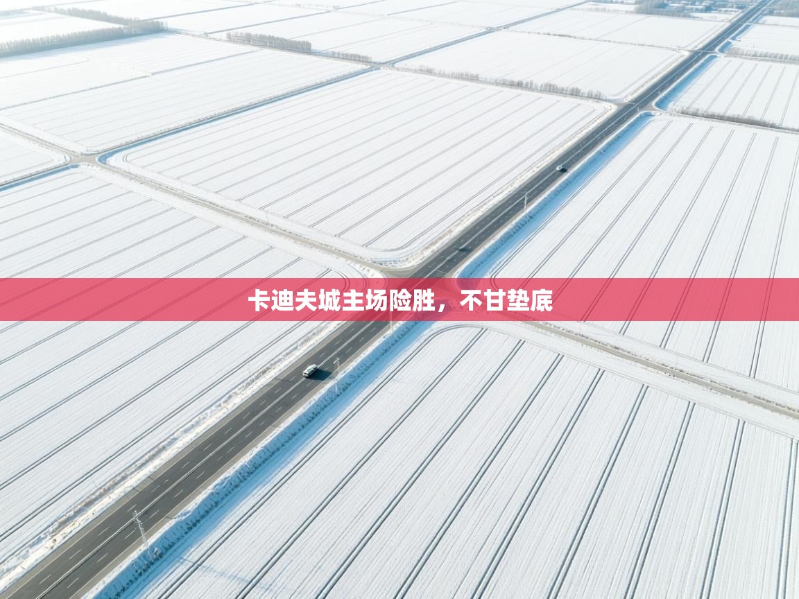 卡迪夫城主场险胜，不甘垫底  第1张