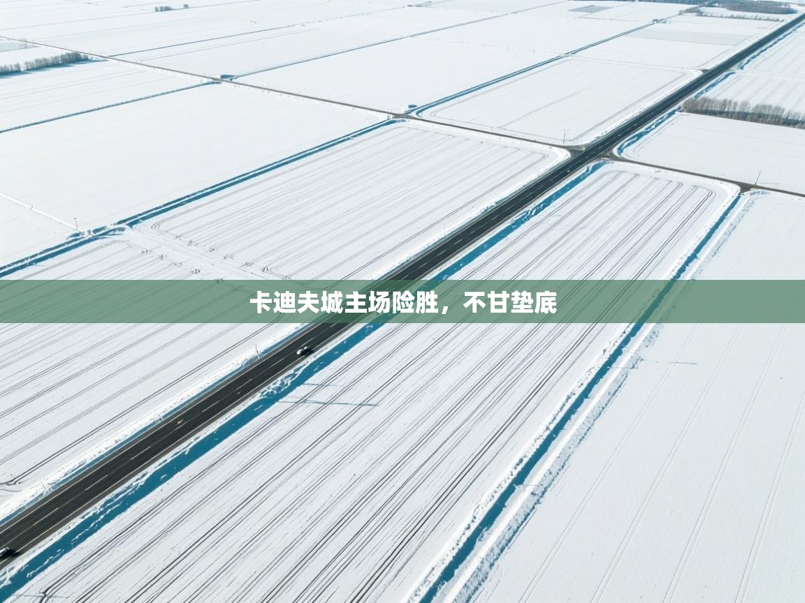 卡迪夫城主场险胜，不甘垫底  第2张