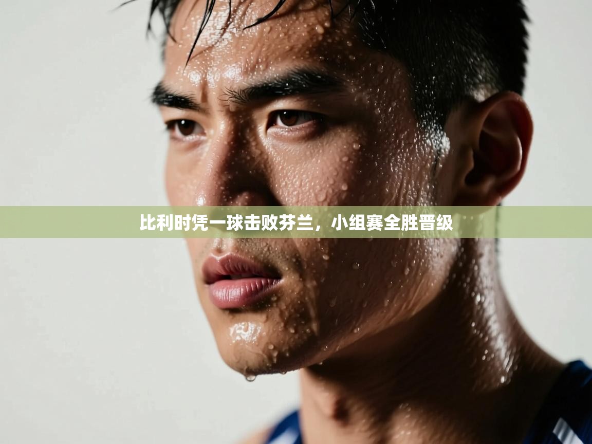 比利时凭一球击败芬兰，小组赛全胜晋级  第1张